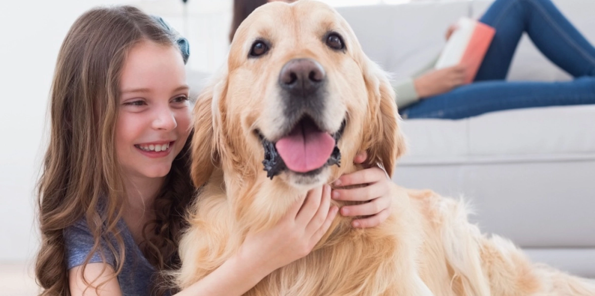Många har undrat sig: Här är vad hunden tänker när du klappar den