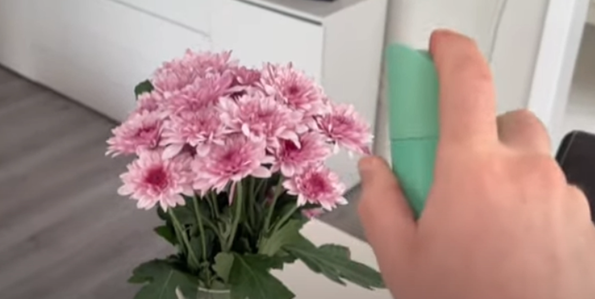 Många svenskar känner till problemet: Så undviker du att dina blommor dör