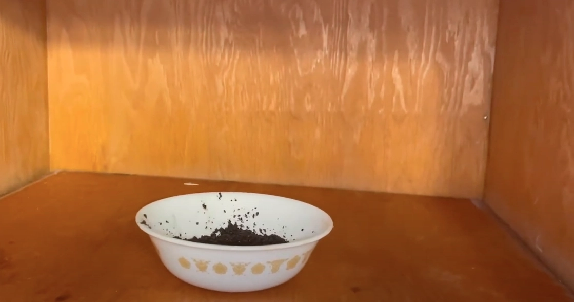 Han placerar kaffesump i skåpet: Otroliga effekten överraskar alla