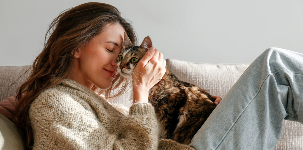 Överraskande skäl till att äga en katt: 7 hälsofördelar du inte vill missa