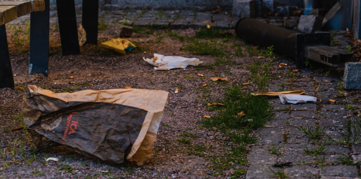 Skräpet hotar miljön – men politiska insatser uteblir