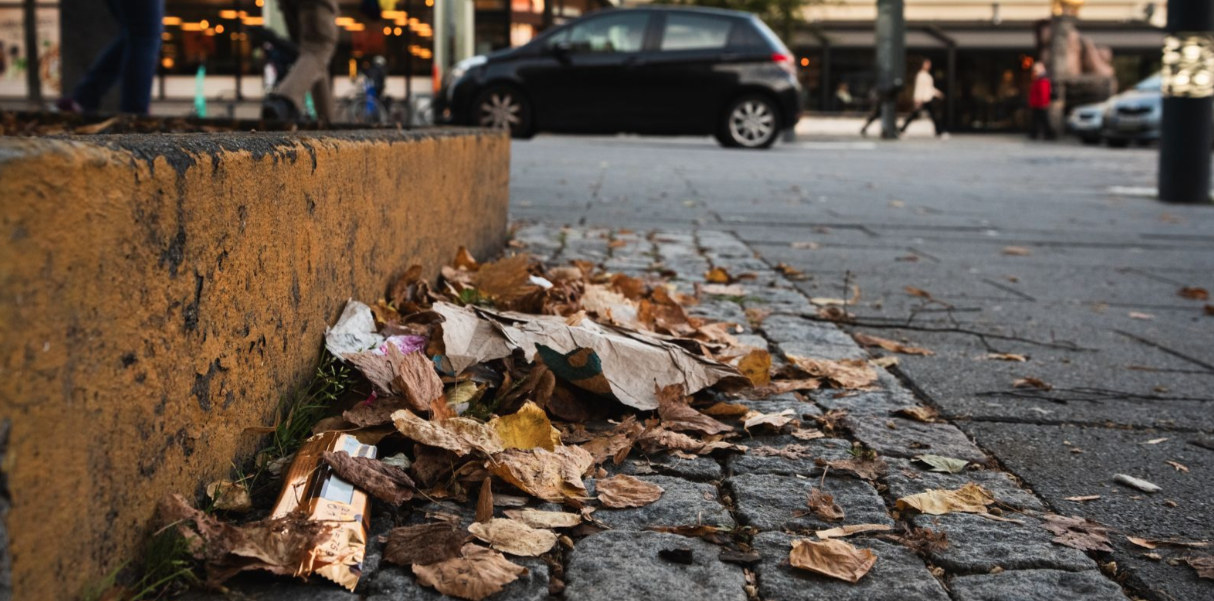 Vanliga misstagen i naturen kan stå dig dyrt – se upp för nya regler