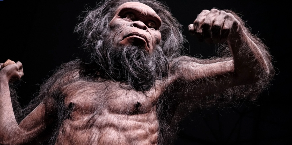 Ny mänsklig art upptäckt i Kina – skriver om evolutionens historia