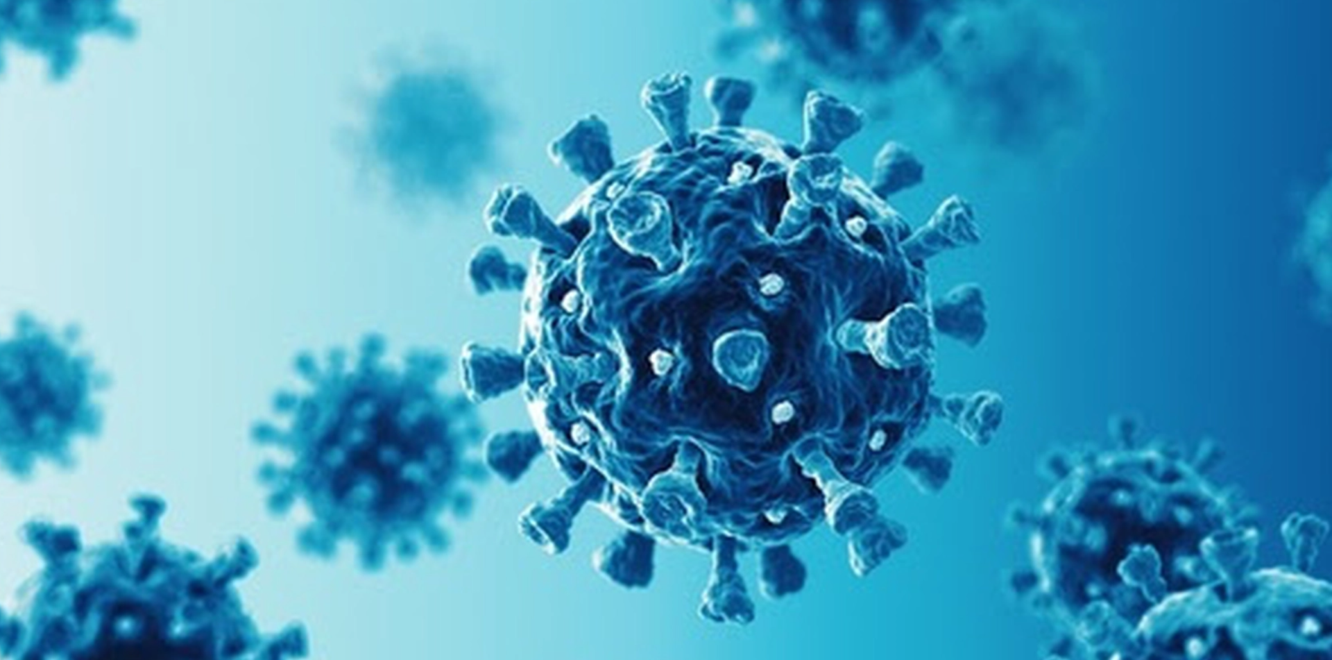 Dödligt virus upptäckt för första gången – forskare slår larm