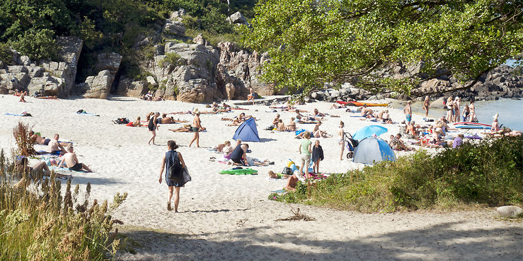 Varningsutrop till alla sommarresenärer: Se upp för detta