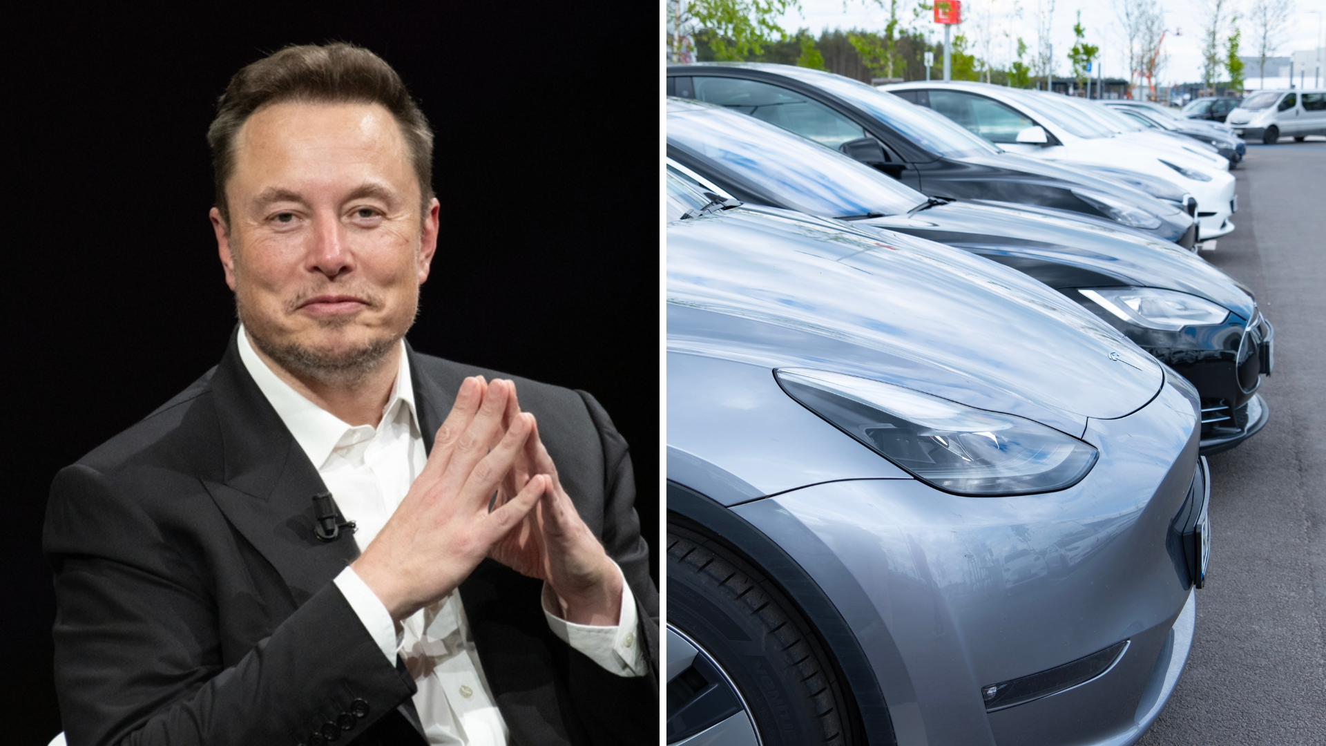 Teslas kursras skakar Wall Street – 800 miljarder dollar förlorade