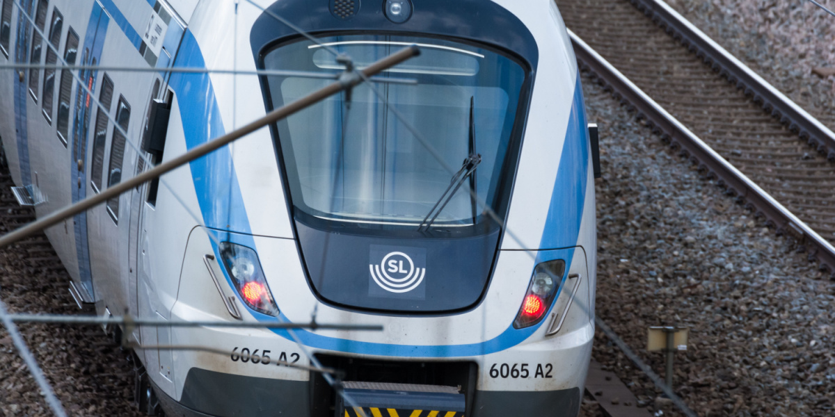 Törningar i tågtrafiken efter kollision med kor