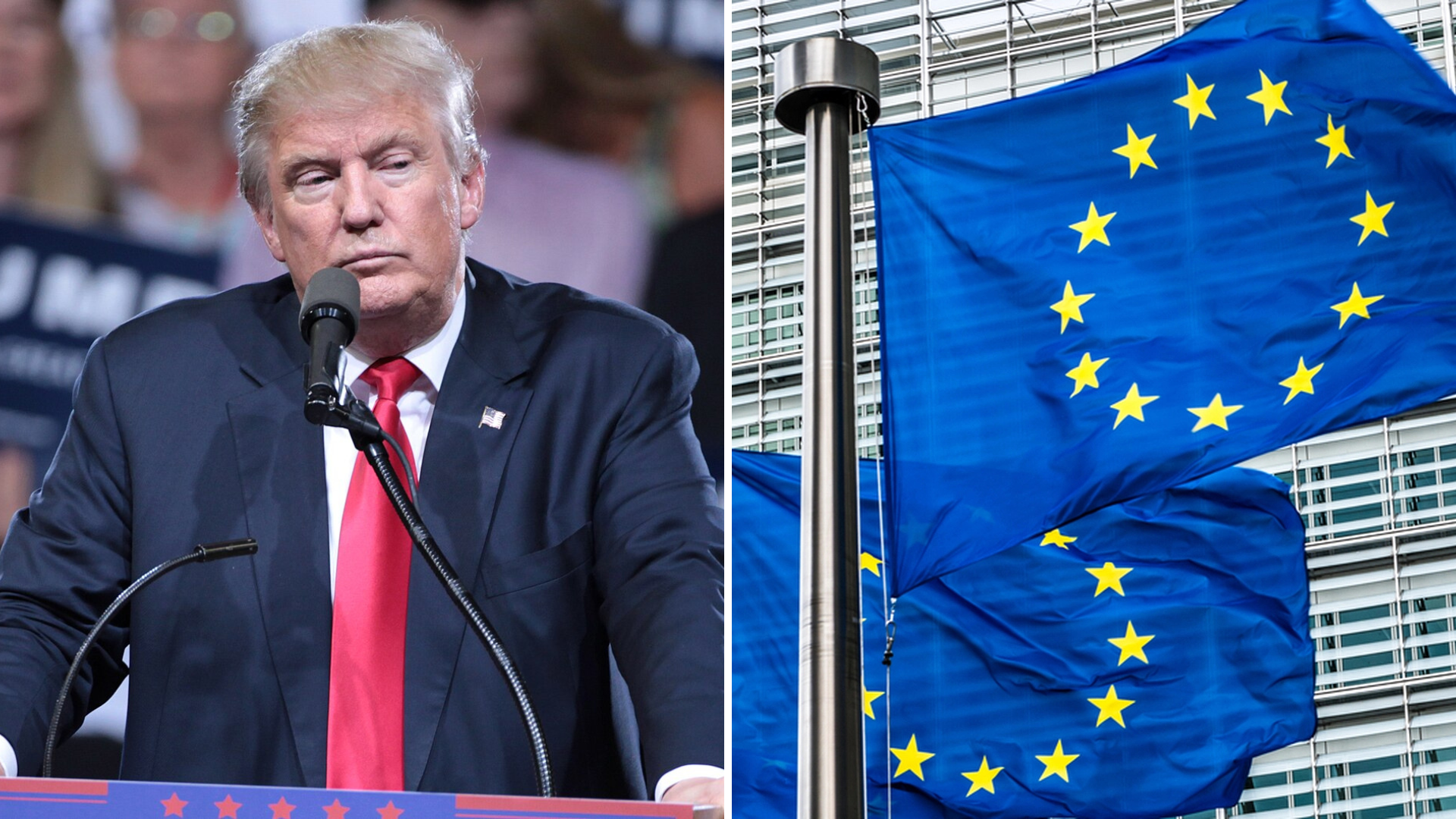 Trump: ”Absolut, tullar mot EU – de är inte våra vänner”