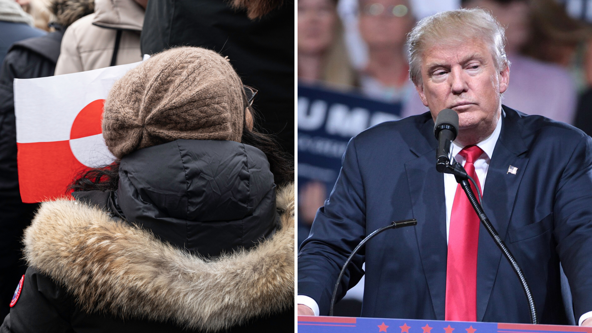Trump vill ha Grönland – men grönlänningarna säger blankt nej
