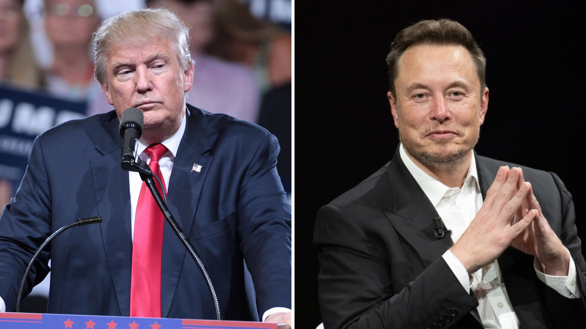 Bromance eller brytning? När smäller det mellan Trump och Musk?